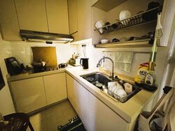 Langston Ville (D9), Apartment #564557171